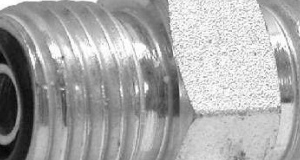 O'Ring para Fitting